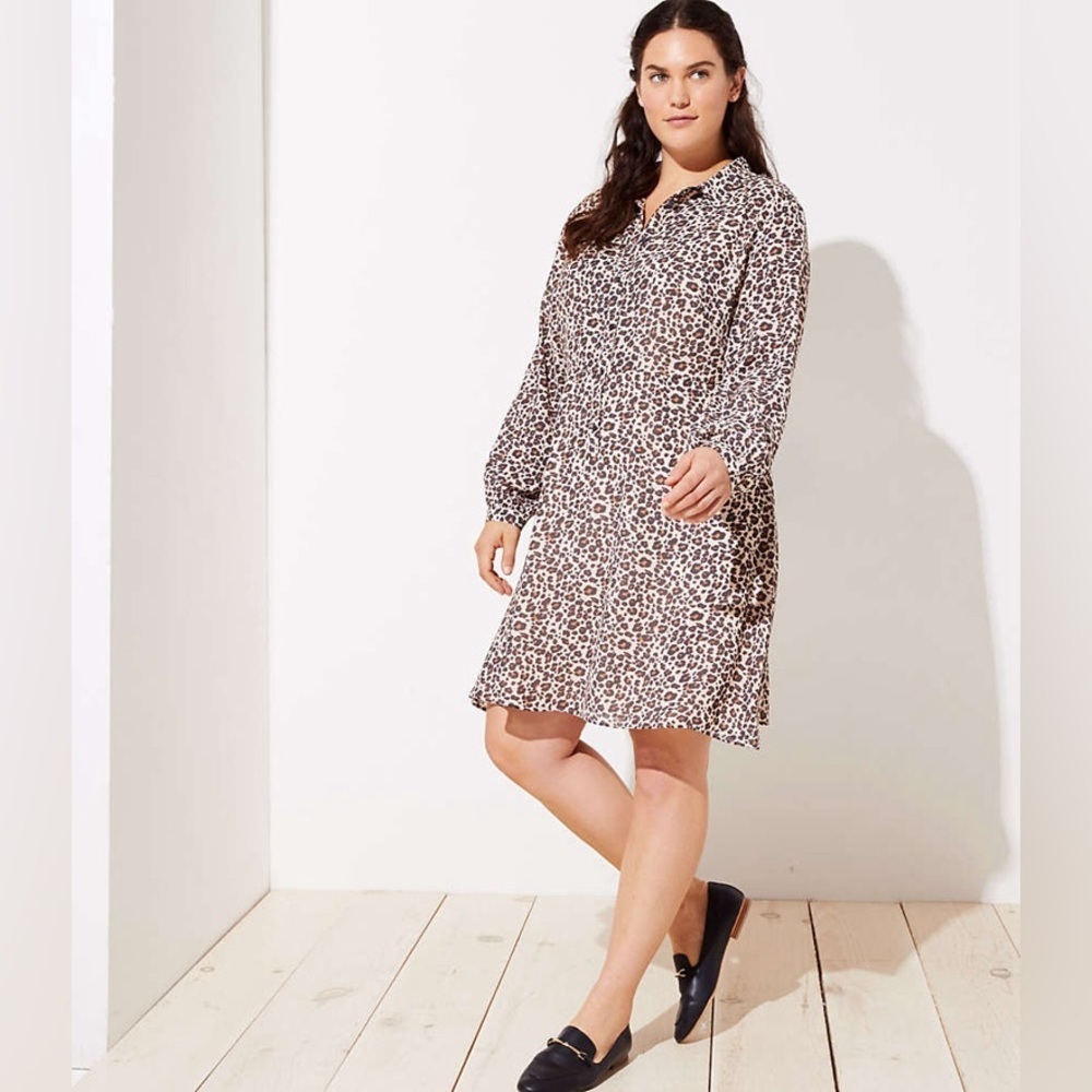 LOFT | Leopard Print Long Sleeve Dress